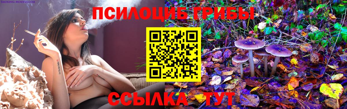 Галлюциногенные грибы MAGIC MUSHROOMS Благовещенск